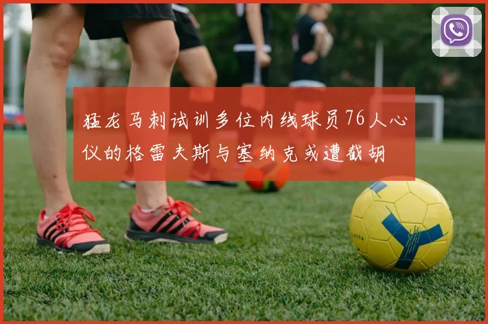 猛龙马刺试训多位内线球员76人心仪的格雷夫斯与塞纳克或遭截胡